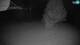 Cerkno 04.07.2025 01:33