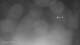 Puerto Rey 02.07.2025 01:34