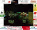 Unna 13.07.2025 01:51