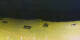 Donville-les-Bains 09.06.2025 01:05