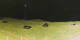Donville-les-Bains 30.04.2025 01:12