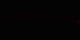 Chambord 30.04.2025 01:32