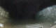 Notre-Dame-de-Monts 09.07.2025 01:37