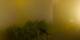 Bromont 20.06.2026 01:34