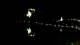 Bled 30.06.2025 01:49