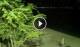 Soverato 04.08.2026 01:52