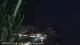 Sant'Angelo (Ischia) 05.07.2025 01:50