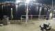 Placida, Florida 01.05.2025 01:50