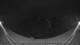 Griffen 11.05.2025 01:51