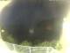 Elba - Morcone 09.06.2025 01:51