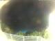 Morcone (Elba) 14.07.2025 01:55