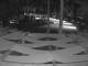 Punta Cana 30.04.2025 01:52