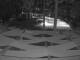 Punta Cana 12.07.2025 01:51