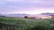 Laukvik 15.06.2025 01:52