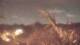 Pompano Beach, Florida 29.04.2025 01:50