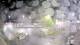 Stallings, Caroline du Nord 11.05.2025 01:54