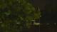 Callisburg, Texas 15.06.2025 01:54