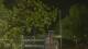 Callisburg, Texas 30.04.2025 01:54