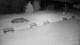 Krynica 30.04.2025 01:46