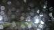 Booneville, Arkansas 29.04.2025 01:57