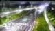 Te Atatu South 15.06.2025 02:52