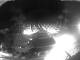 Torremolinos 02.07.2025 02:57
