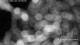 Hohegeiss 30.04.2025 02:58