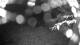 Averill Park, New York 19.03.2025 02:53
