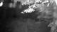 Averill Park, New York 02.07.2025 02:53