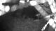 Averill Park, New York 09.05.2025 02:53