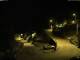Campodolcino 16.05.2025 02:59