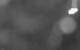 Praxmar 30.04.2025 02:59