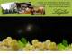 Spitz (Wachau) 11.05.2025 02:59