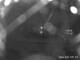 Gull Lake, Michigan 30.06.2025 02:53