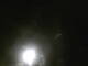 Fortuna, Kalifornien 01.07.2025 02:53