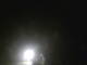 Fortuna, California 03.07.2025 02:53
