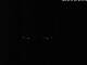 Baltrum 21.03.2025 02:54