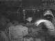 Quart-A-Nancy Point 11.05.2025 02:54