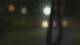 Madisonville, Texas 09.06.2025 02:05
