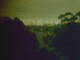 Linley Point 01.07.2025 02:54