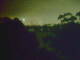 Linley Point 13.06.2025 02:54