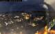 Strömstad 07.07.2025 02:47