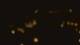 San Antonio, Texas 30.04.2025 02:13