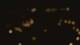 San Antonio, Texas 11.05.2025 02:13
