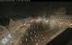Augsburg 15.06.2025 02:48