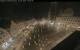 Augsburg 01.05.2025 02:48