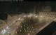 Augsburg 09.06.2025 02:48