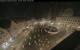Augsbourg 18.05.2025 02:48