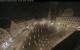 Augsbourg 30.04.2025 02:48