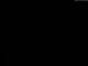 Schneverdingen 11.05.2025 02:48